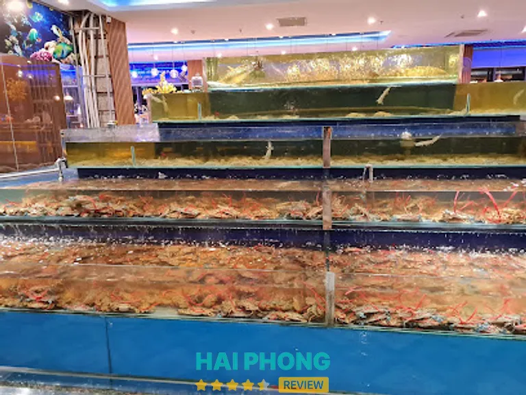 Buffet Hải Sản Hp3 Seafood: 97 Bạch Đằng, P. Hồng Bàng