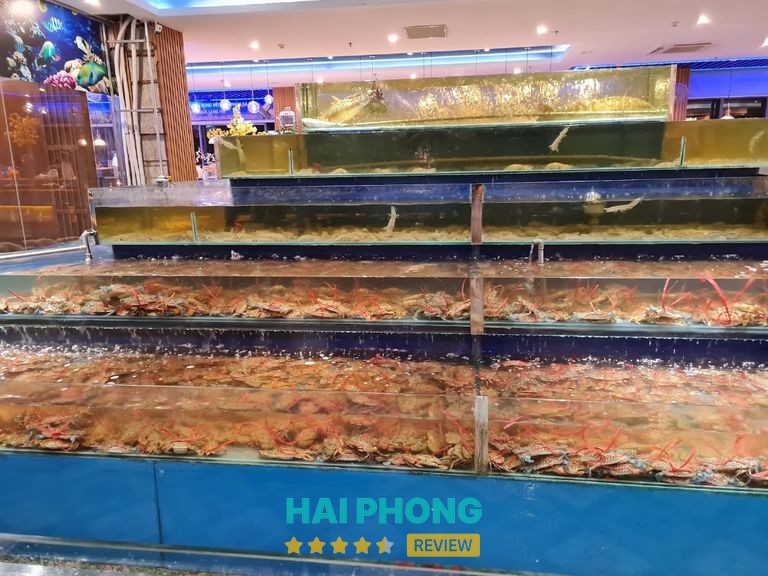 Buffet Hải Sản - Hp3 Seafood Hải Phòng