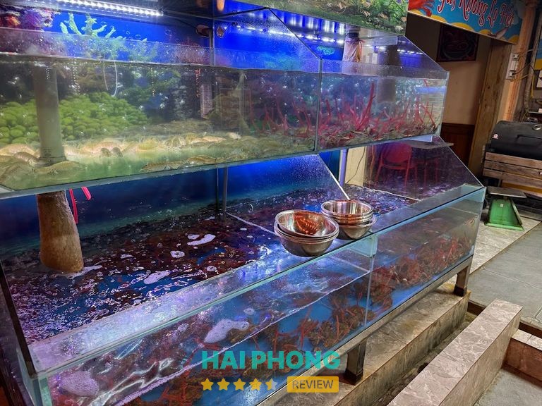 TaiWan Garden An Dương – hình ảnh 3