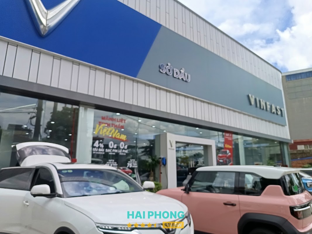Hoa Phượng Camera Hải Phòng