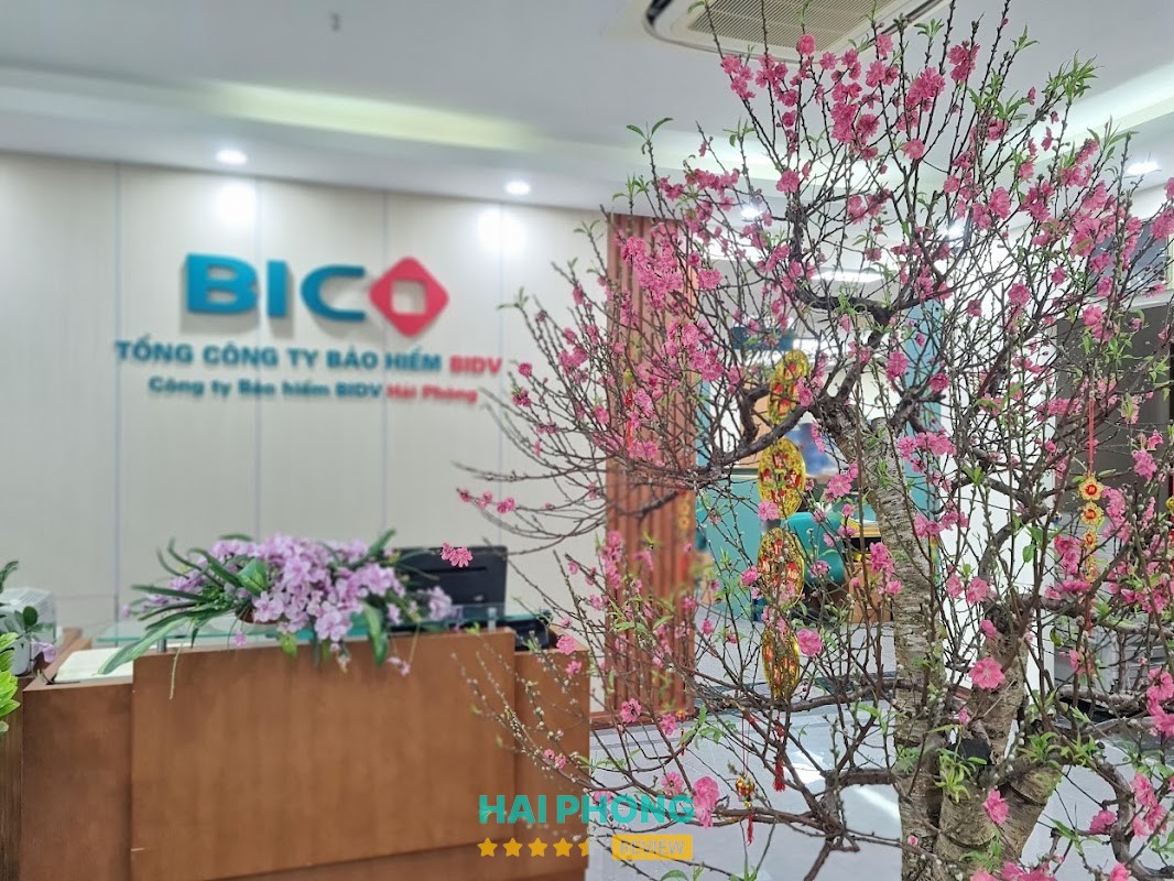 Công ty Bảo hiểm BIDV Hải Phòng