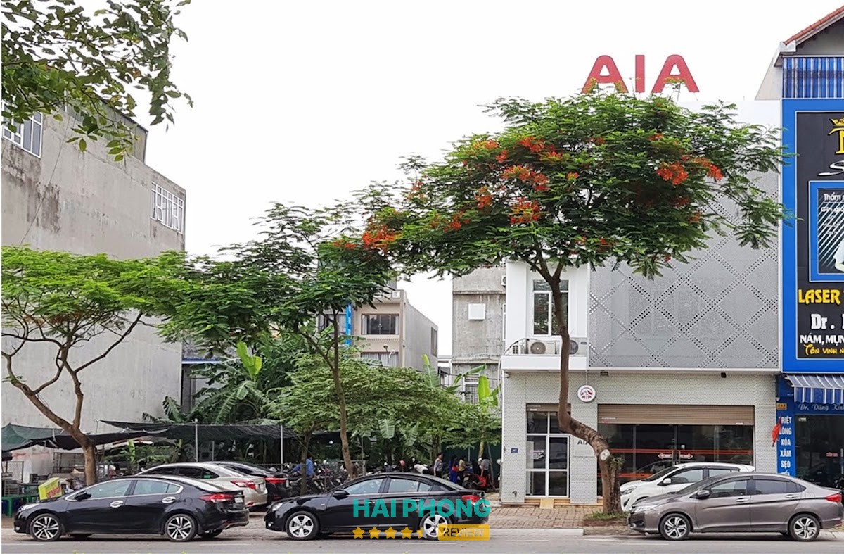 AIA Hải Dương – hình ảnh 2