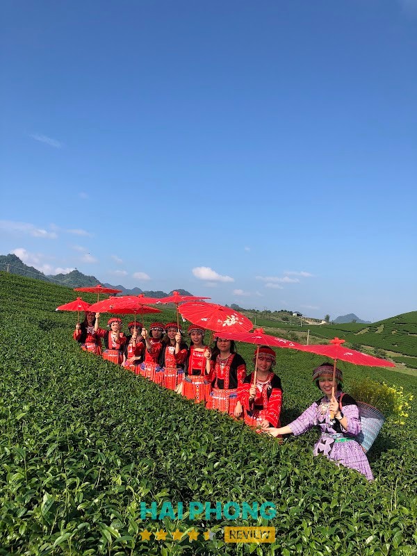 Công Ty Du Lịch Hoàn Hảo - PS TOURS - hình ảnh 2
