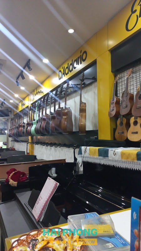 TYGY | Shop Đàn Piano Guitar Chính Hãng Giá Rẻ Hải Phòng – hình ảnh 3
