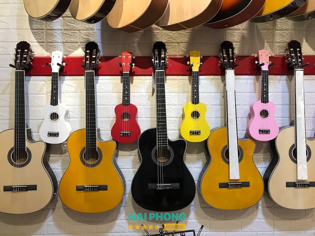 Shop Guitar Kiến An - Hải Phòng – hình ảnh 3