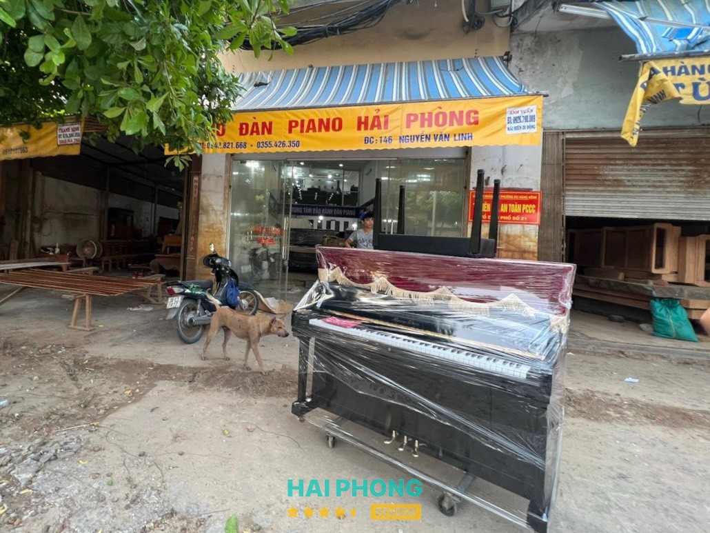 Tổng kho đàn Piano Nguyễn Duy Hải Phòng - hình ảnh 1