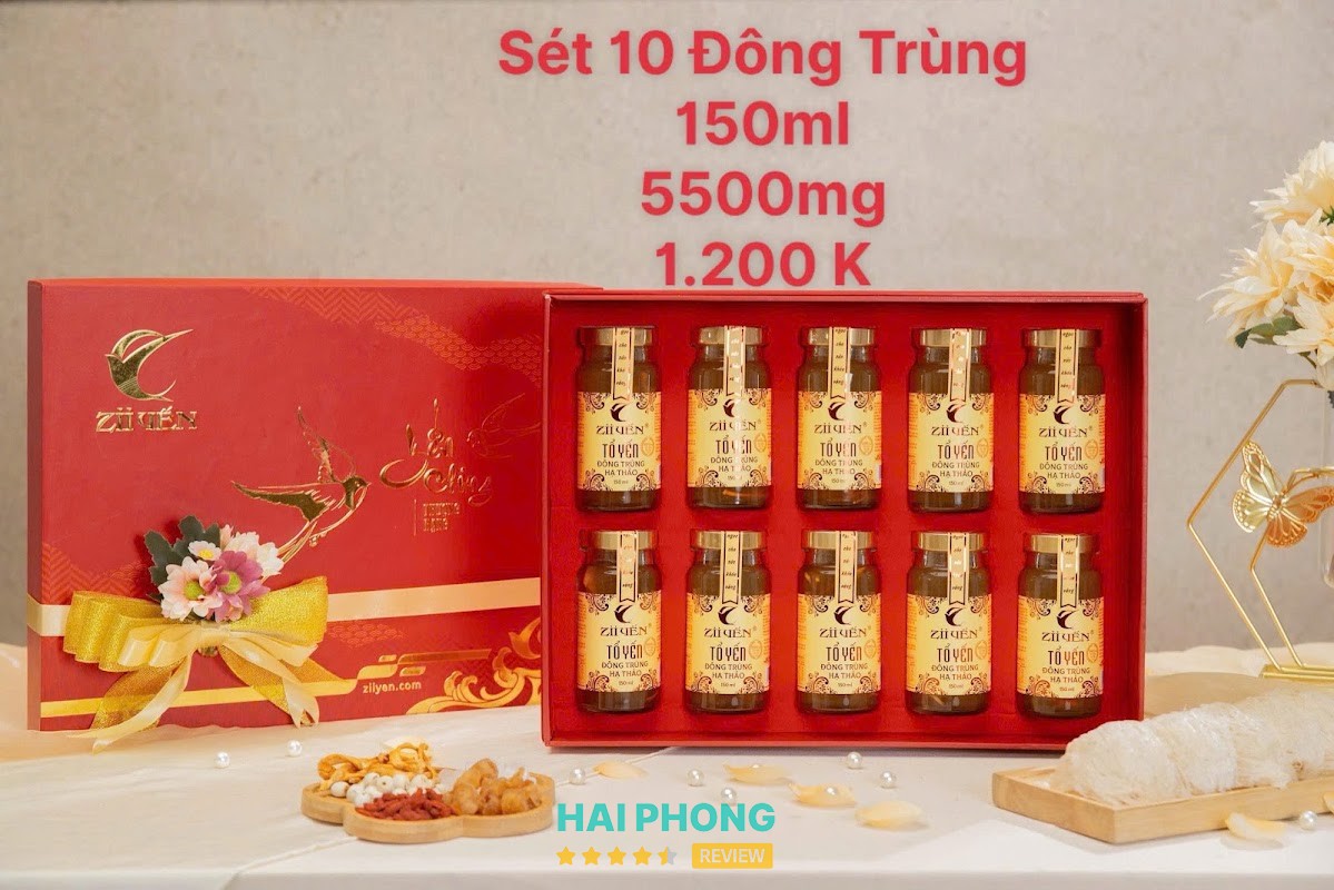 Yến sào Hải Phòng - Công ty Zii Yến - hình ảnh 2