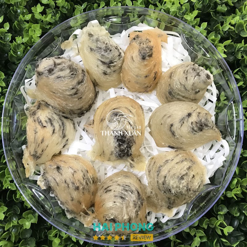 Thanh Xuân Yến - cửa hàng yến sào