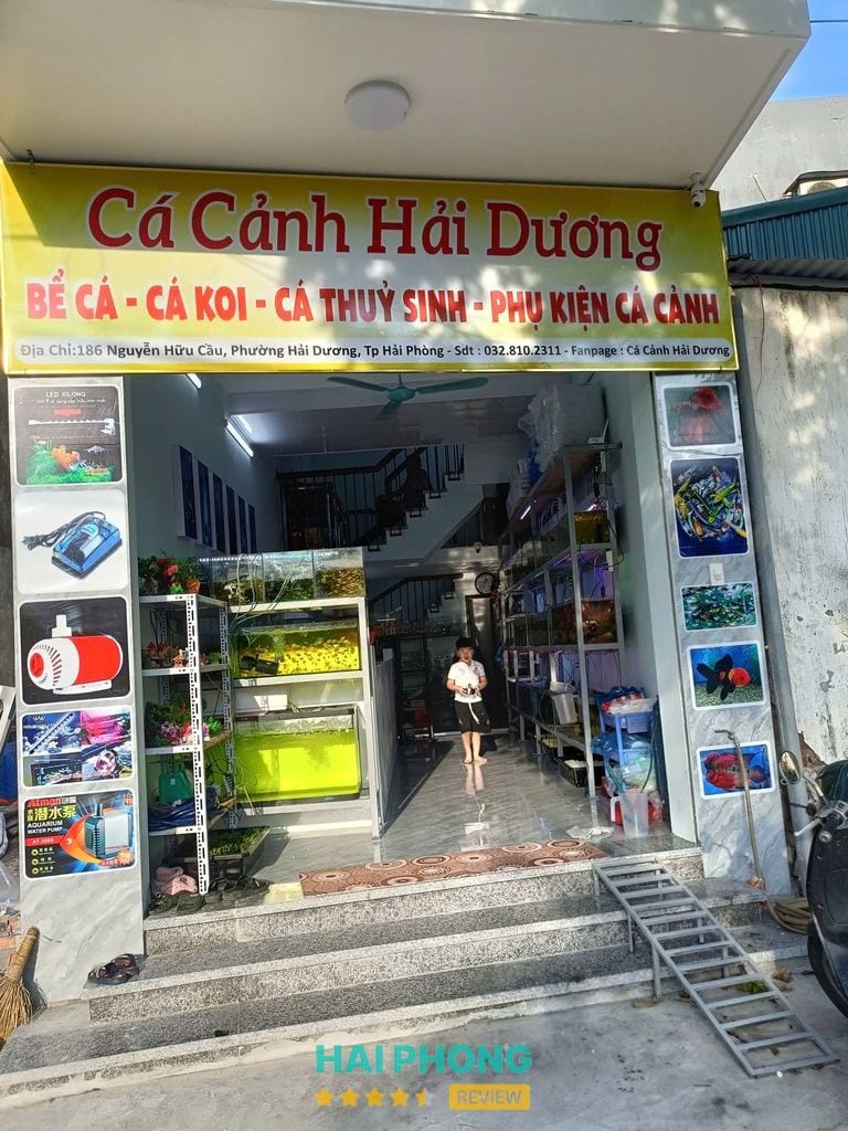 Cá Cảnh Hải Dương - hình ảnh thực tế 1