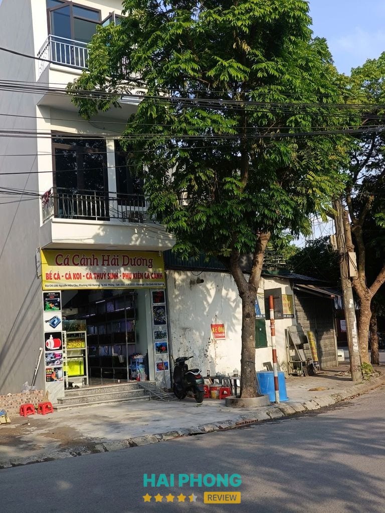 Cá Cảnh Hải Dương - hình ảnh thực tế 3