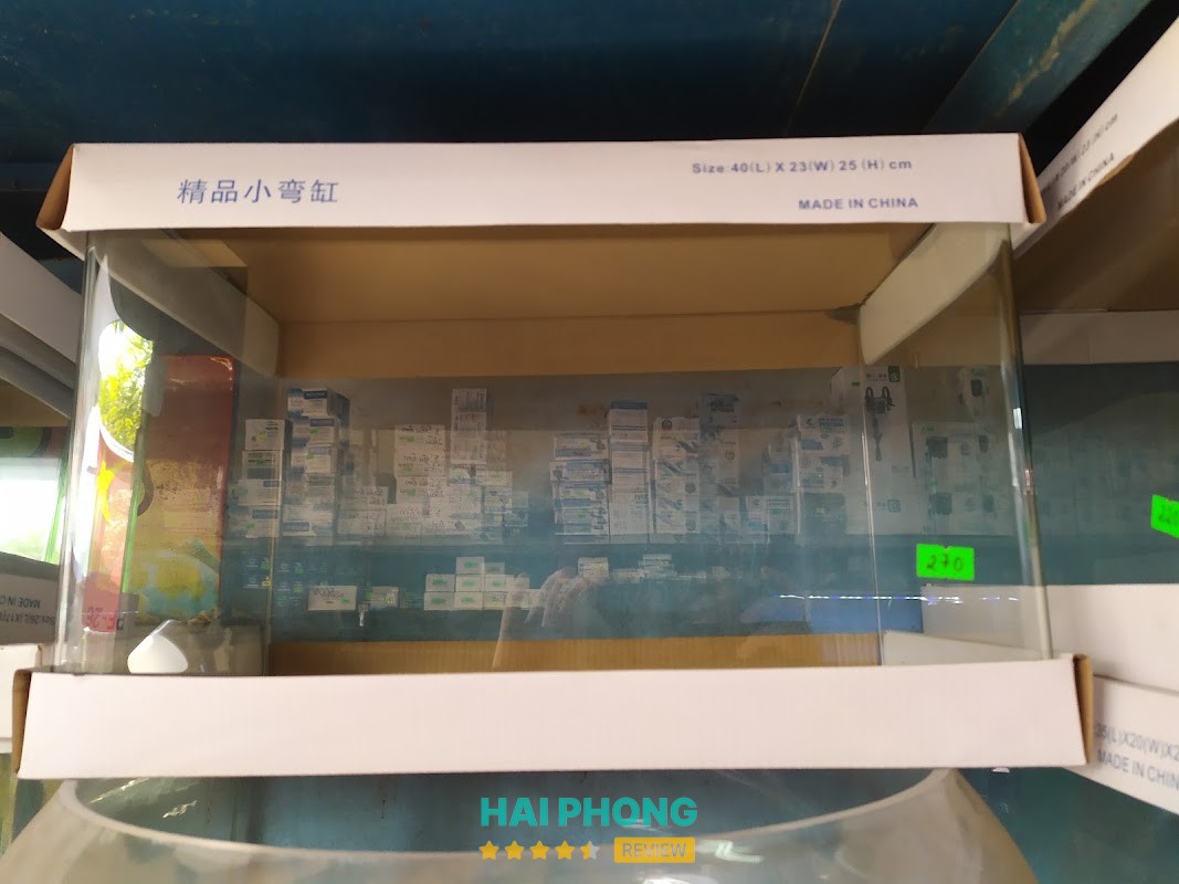 Cá Cảnh Hiền Phương Hải Phòng