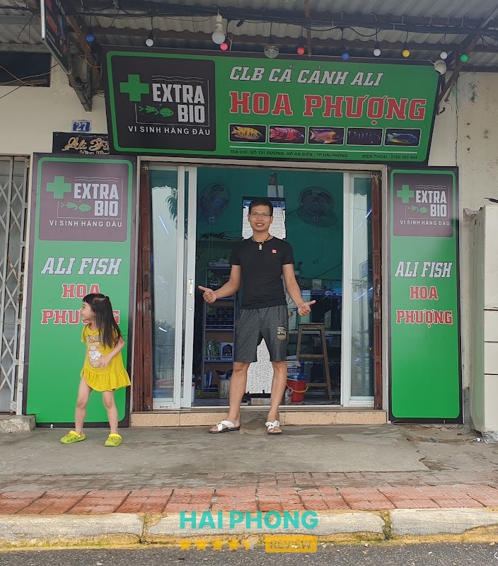 cá cảnh Ali Hoa Phượng Hải Phòng