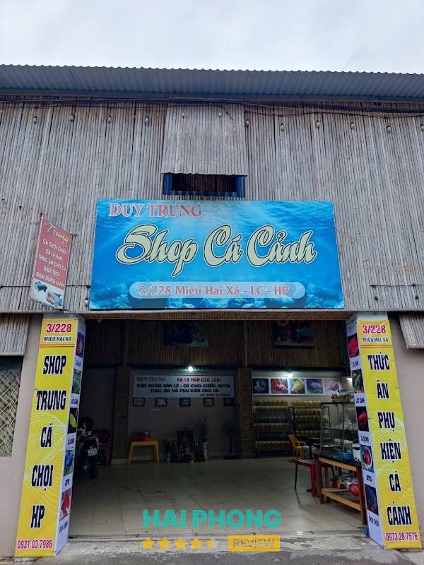 Duy Trung cá cảnh Hải Phòng