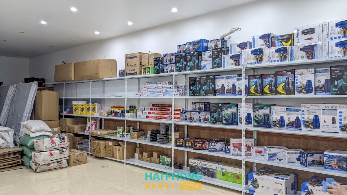 Thiết bị bể cá Hải Tùng – hình ảnh 2