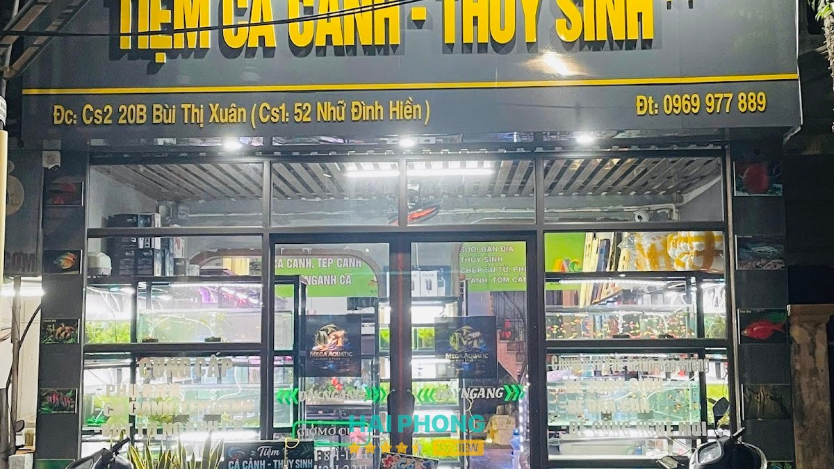 Tiệm Cá Cảnh - Thuỷ sinh ++ – hình ảnh 2