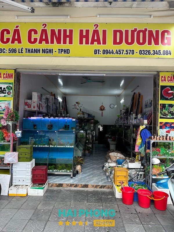 Cá Cảnh Hải Dương Lê Thanh Nghị