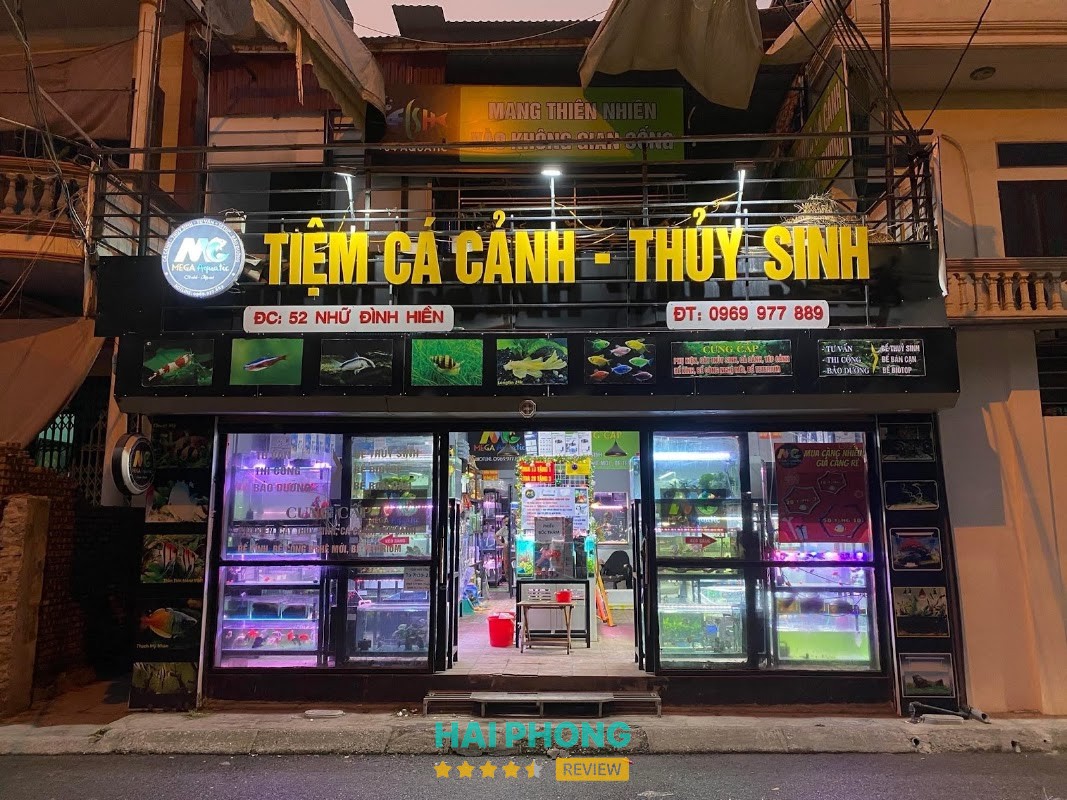 MEGA AQUATIC Lê Thanh Nghị