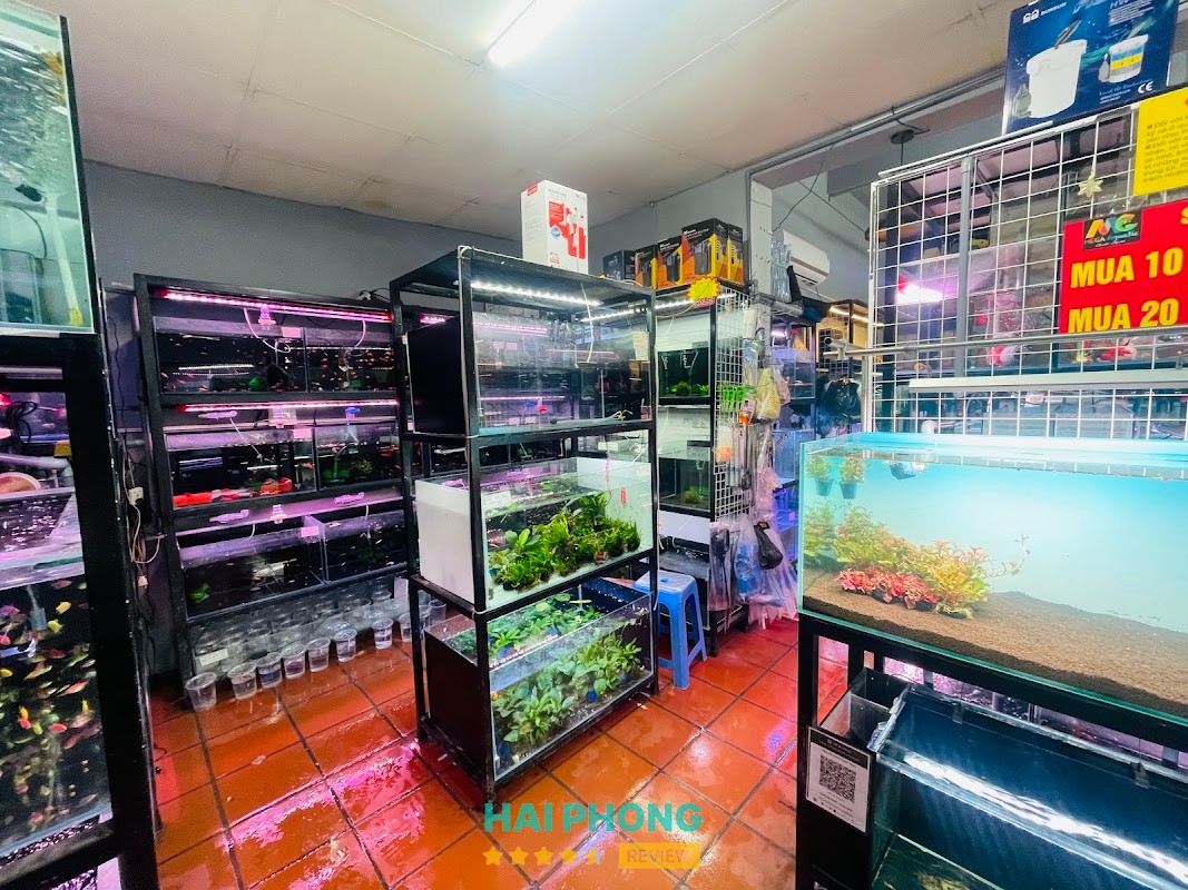 MEGA AQUATIC – hình ảnh 2