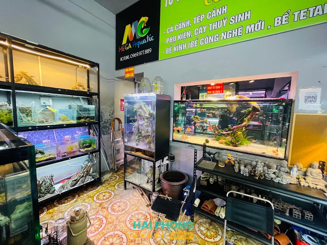 MEGA AQUATIC – hình ảnh 3