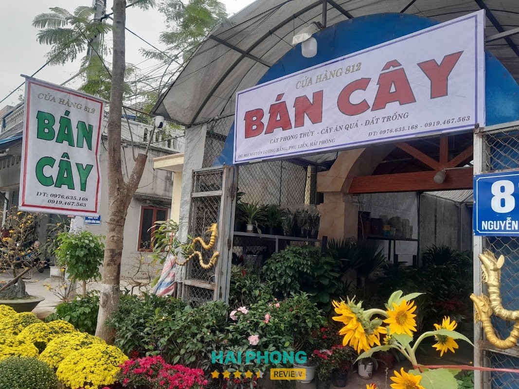 Cửa hàng bán cây 812 Hải Phòng