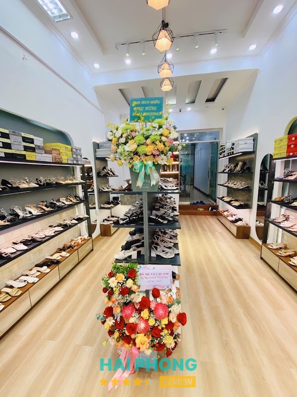 Janga Shoes – hình ảnh 2