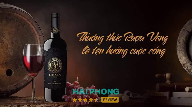 Rượu Vang Hải Đăng Plaza – hình ảnh 2