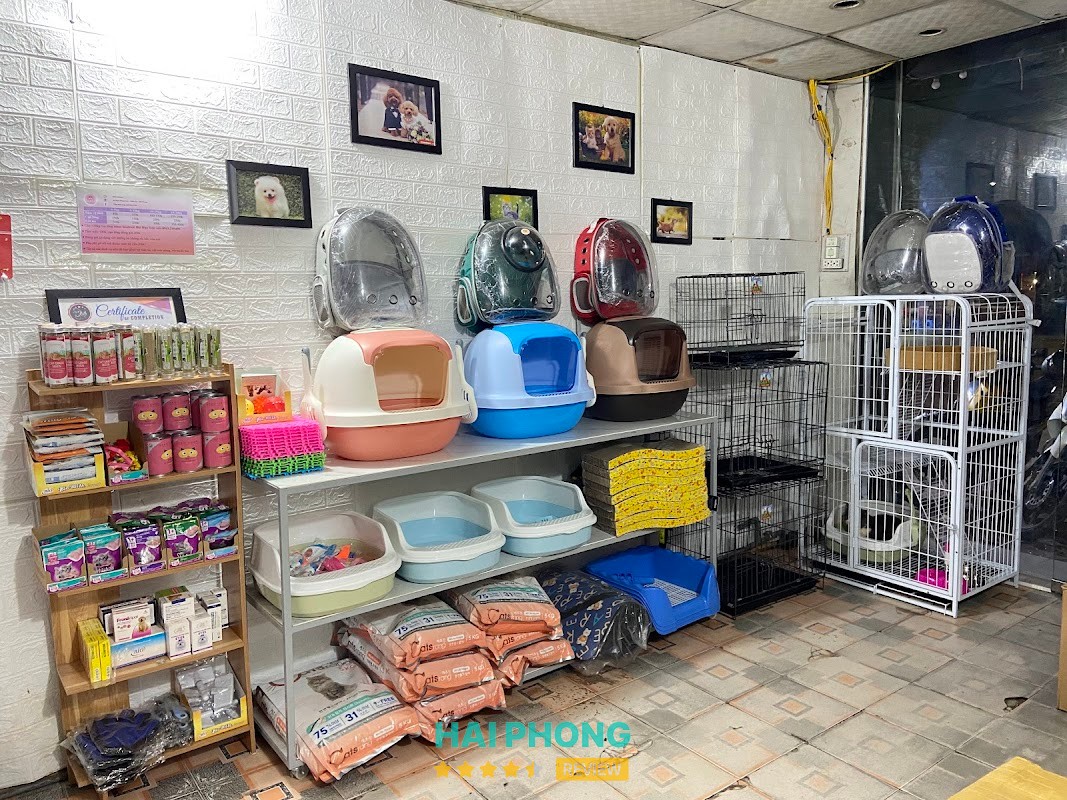 Tiệm Thú Cưng Anh Huy Chó – hình ảnh 2