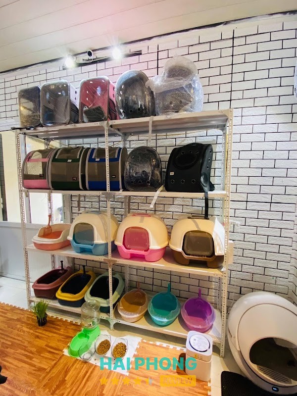 Meow Pet Cơ Sở 2 – hình ảnh 3