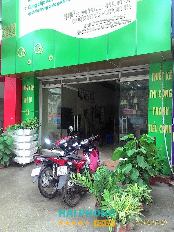 Công ty TNHH Thương mại và Xây dựng Tiểu Cảnh Xanh An Biên