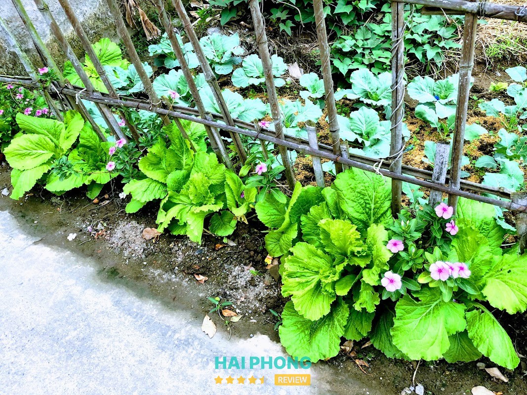 Nam Bán Vật Liệu Xây Dựng Hải Phòng