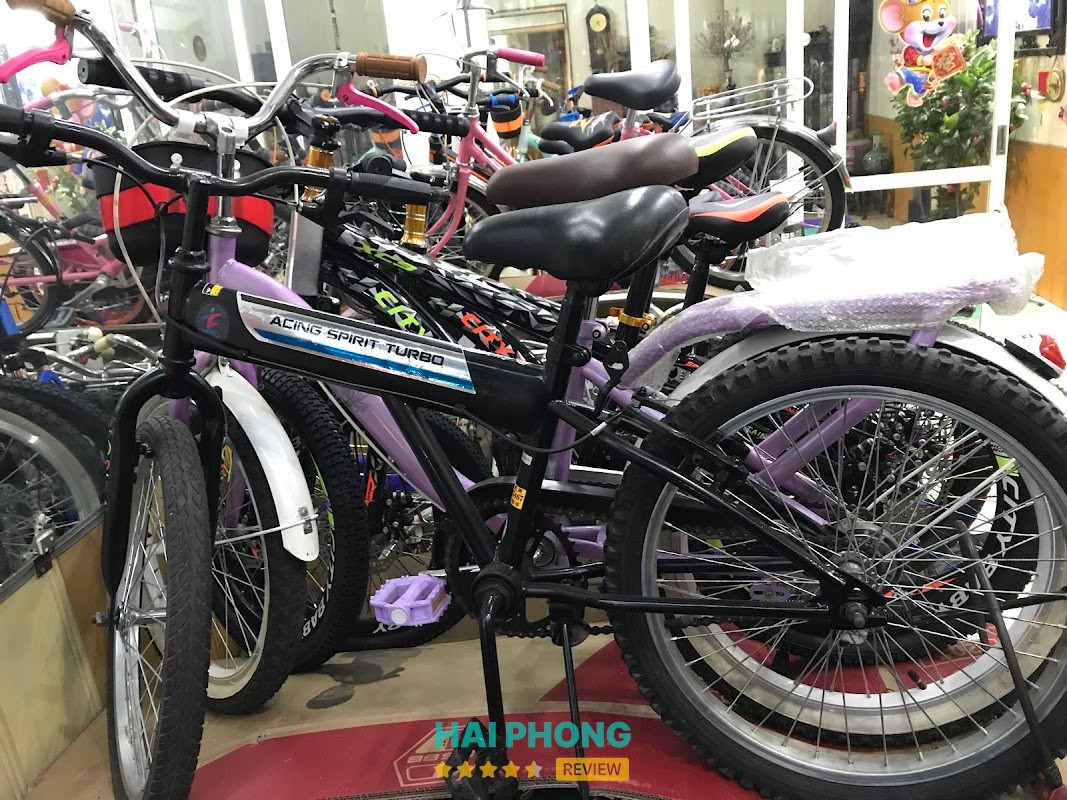 Xe đạp, xe trợ lực Nhật bãi Hải Phòng – 57 Quang Trung