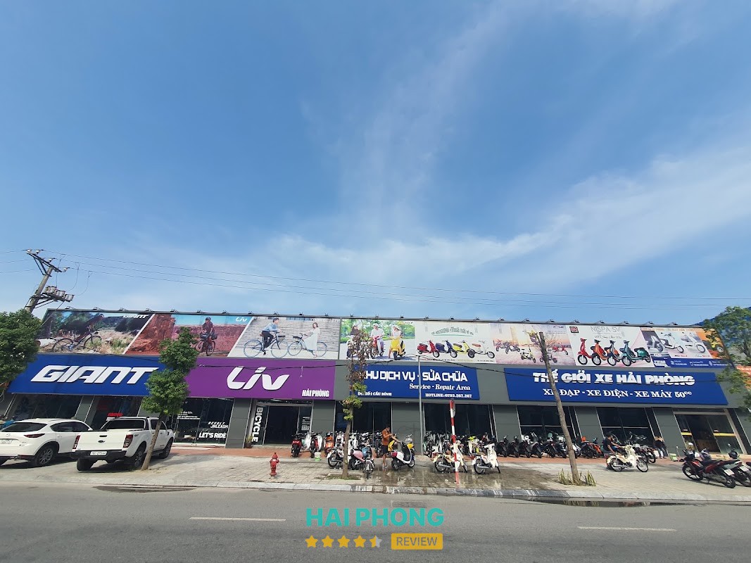 Xe điện Thanh Tùng số 1 Cầu Bính – hình ảnh 1