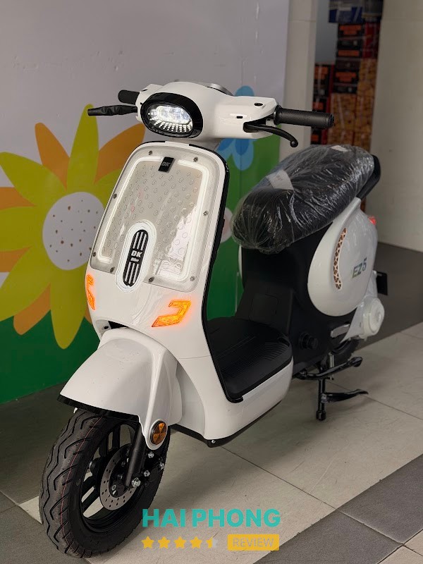 Các dòng xe điện tại Hoà Diệp 300 Tô Hiệu – hình ảnh 3
