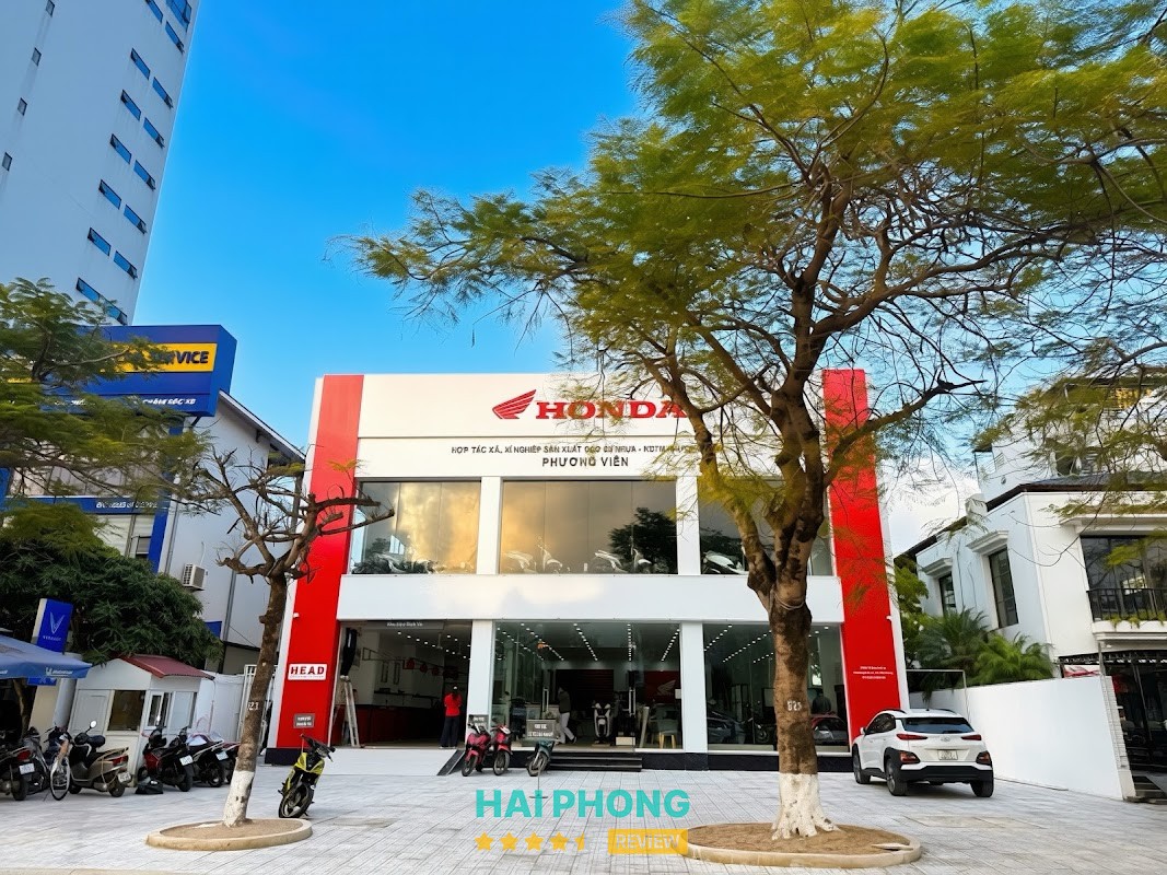 Head Phương Viên – hình ảnh 1
