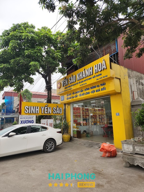 Sinh Yến Sào Hải Phòng