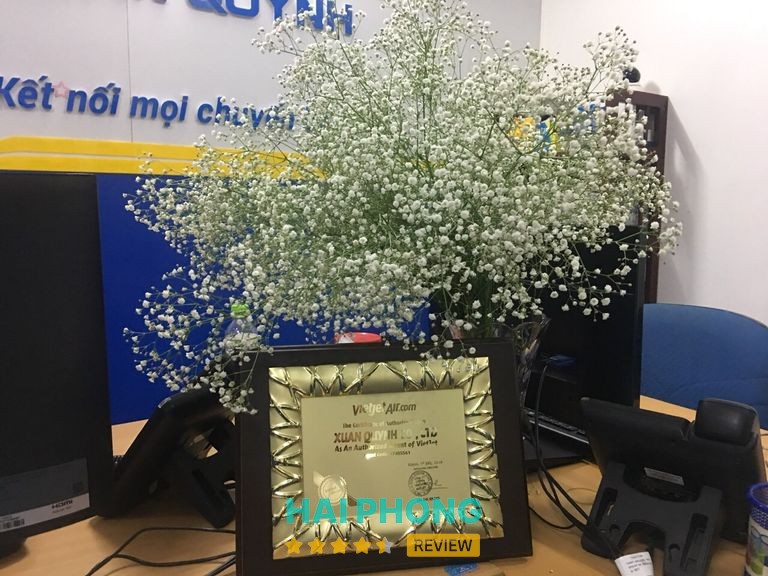Vé Máy Bay Hải Phòng - Xuân Quỳnh – hình ảnh 3