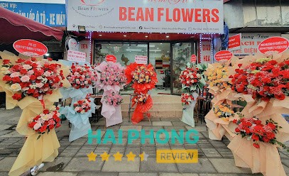 Điện Hoa Hải Phòng - Bean Flowers Hải Phòng