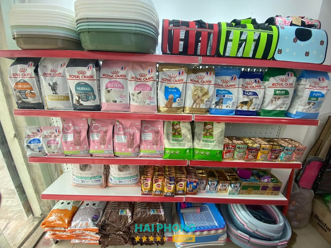 COn Mều Shop - Cửa Hàng Thú Cưng Hải Dương Hải Dương - hình ảnh 2