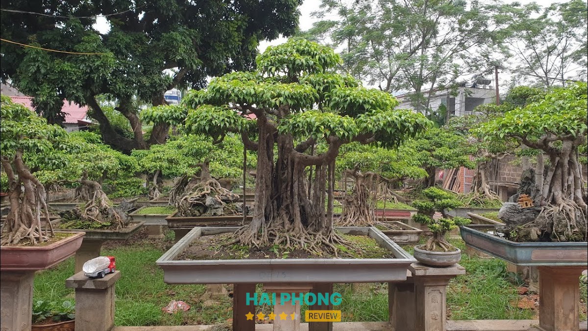 Phòng Công Chứng Số 1 Hải Dương