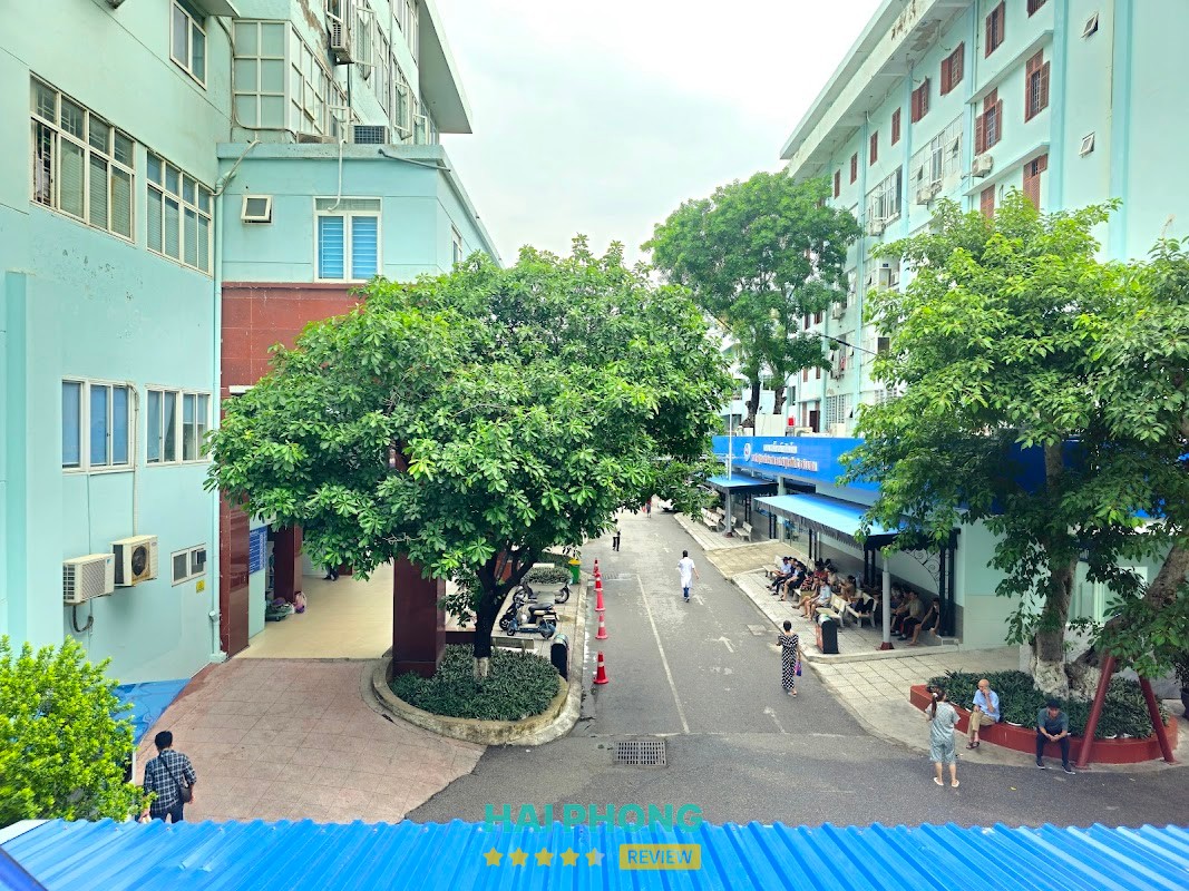 Khoa Lão khoa Việt Tiệp – hình ảnh 3