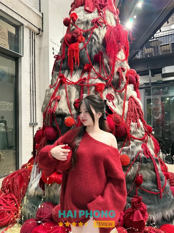 Tiệm cho thuê váy hải dương – hình 2