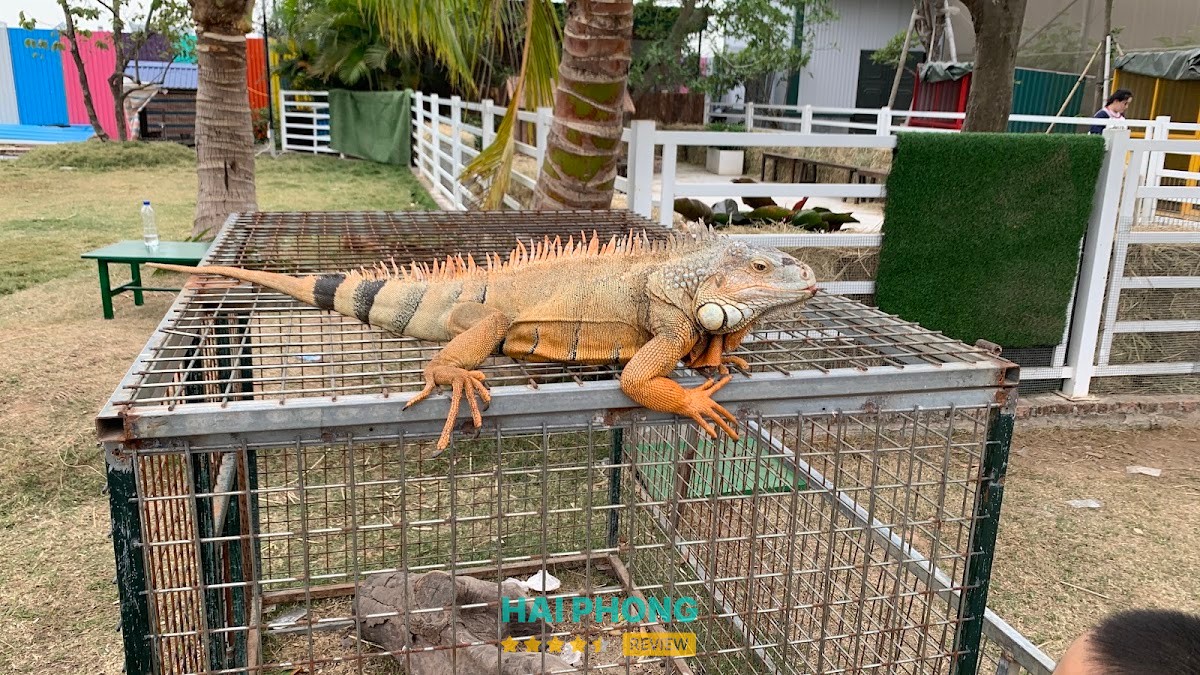 L.A.M farm – hình ảnh 2