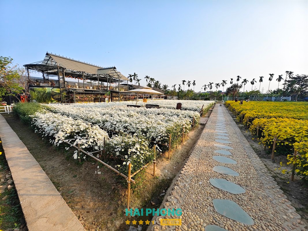L.A.M farm – hình ảnh 3