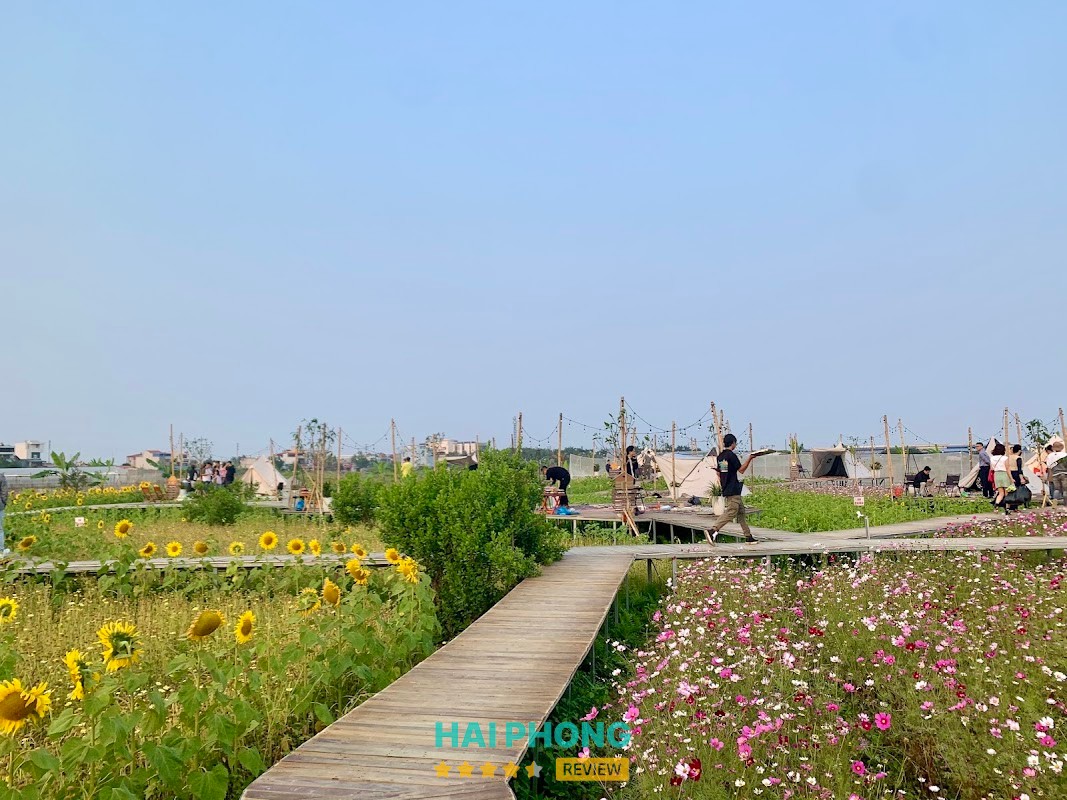 Nông Trại Vui Vẻ Camping – hình ảnh 1