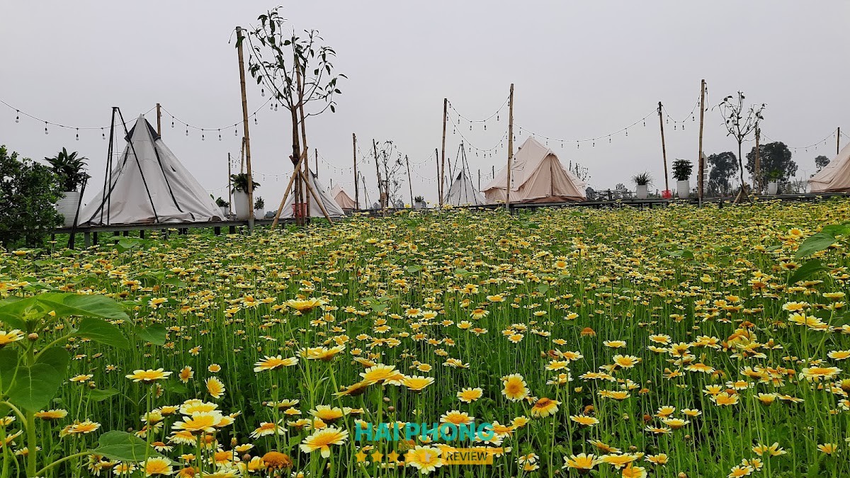Nông Trại Vui Vẻ Camping – hình ảnh 3