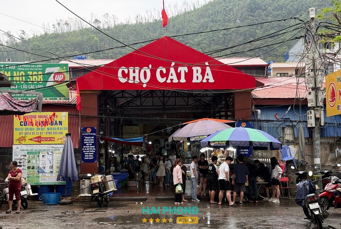 CHỢ ĐẦU MỐI CÁT BÀ – hình ảnh 3
