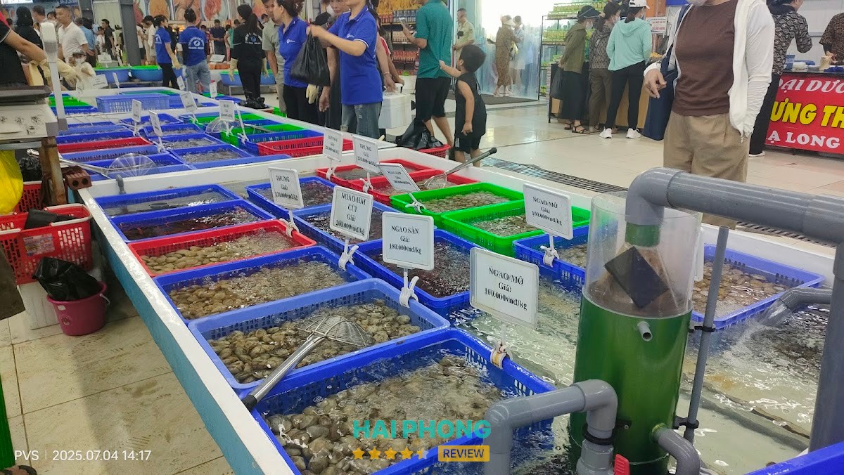 Chợ đầu mối hải sản Đại Dương Cát Bà – hình ảnh 2