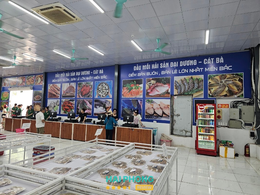 Chợ đầu mối hải sản Đại Dương Cát Bà – hình ảnh 3
