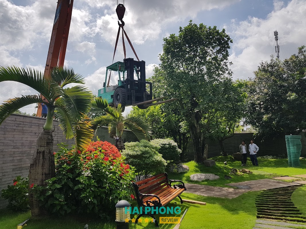 Công ty TNHH Thương mại và xếp dỡ Thành Lâm – hình ảnh 3