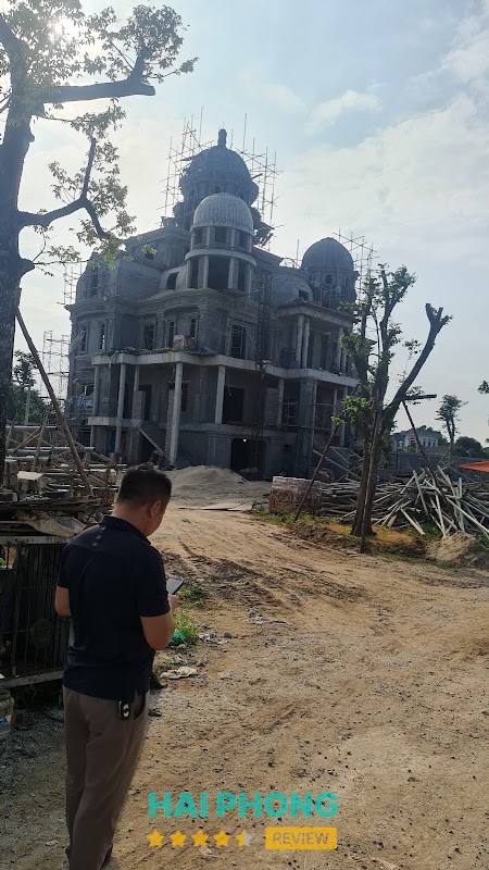 Công Ty TNHH Phòng Trừ Mối Và Diệt Côn Trùng Trần Anh